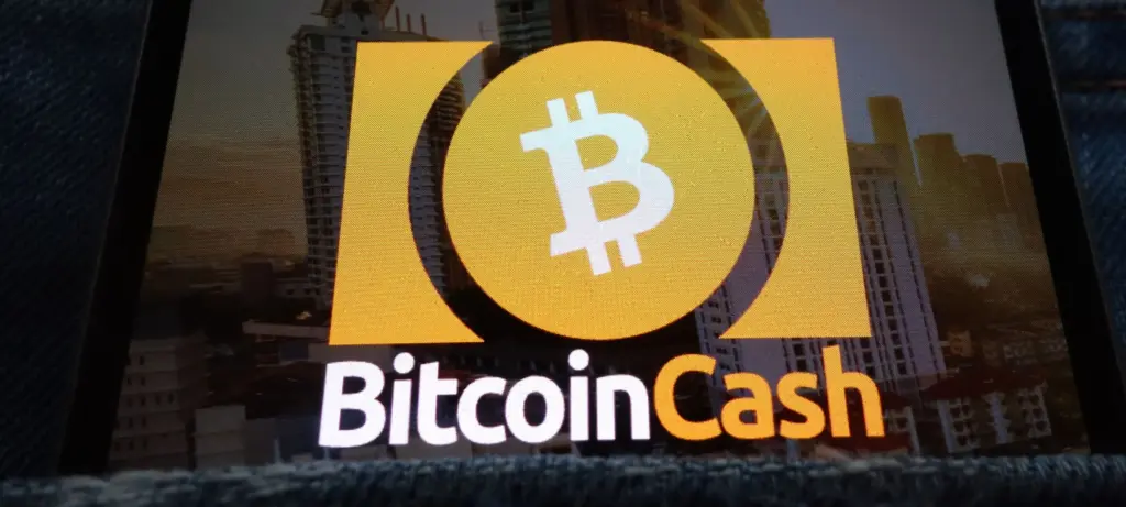 Bitcoin Cash logo displayed on a smartphone screen against a blurred city skyline background