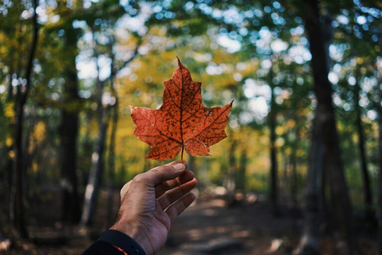 Canada Adopts International Crypto Tax Reporting Standard