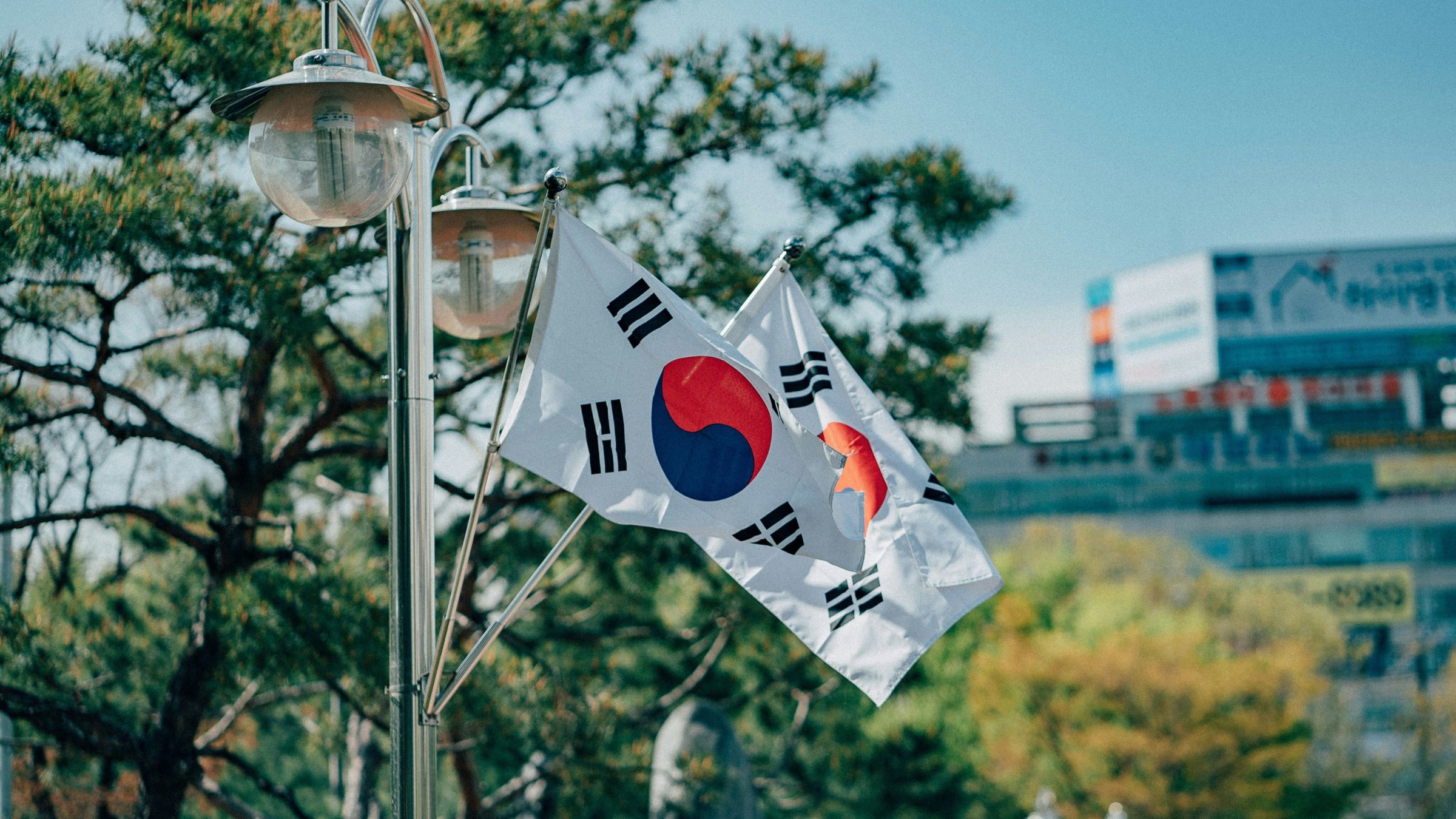 South Korean flags mounted on a street pole with trees and blurred city buildings in the background.