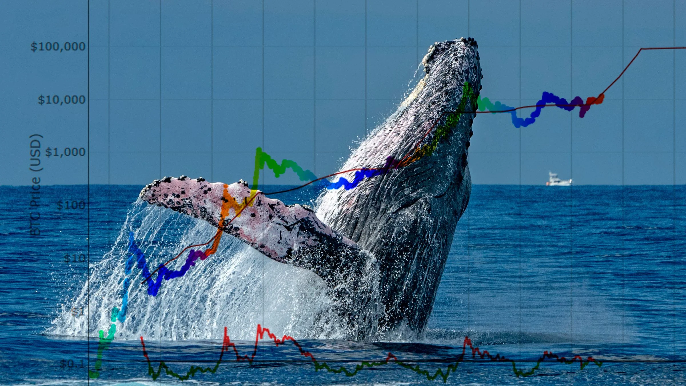 Breaching whale overlaid with colorful bitcoin price charts and market data across an ocean scene.