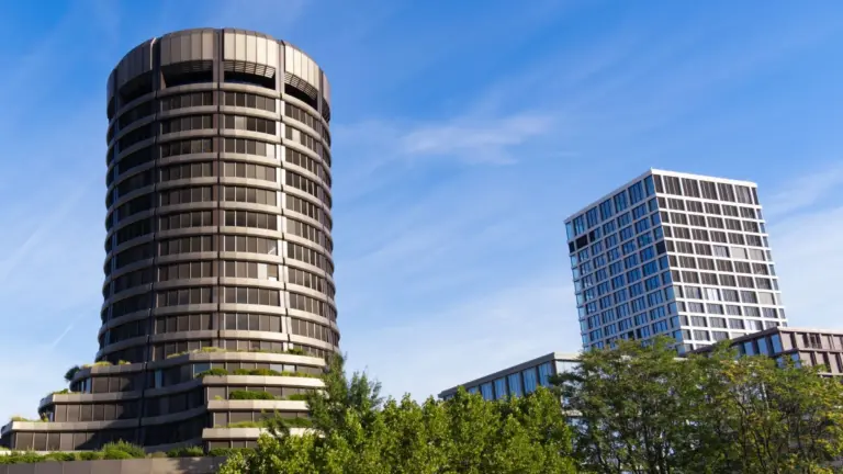BIS Says Stablecoins Look More Like ETFs Than Money as Dollarization Risks Grow