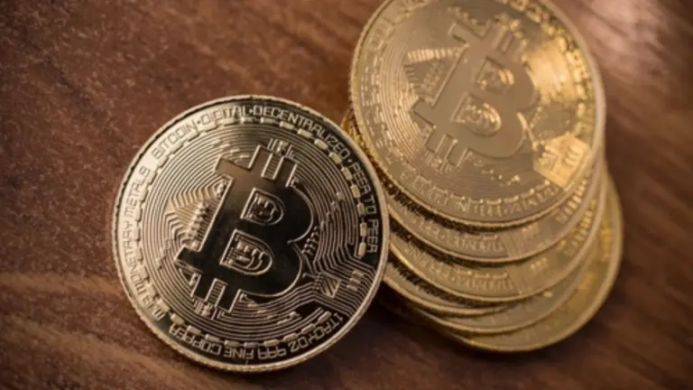 Bitcoin Developer Proposes ‘DOG Mode’ Client to Bypass Stalled Anti-Spam Proposal