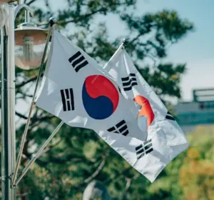 South Korean flags mounted on a lamppost with trees in the background