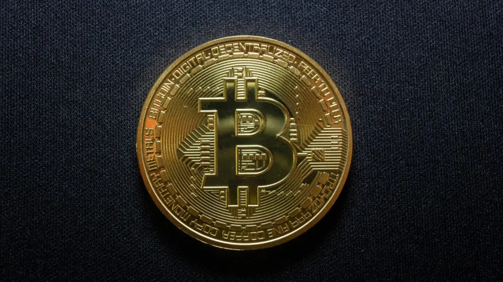 Bitcoin Developer Proposes ‘DOG Mode’ Client to Bypass Stalled Anti-Spam Proposal