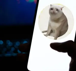 Person holding a smartphone displaying a circular profile photo of a light-colored cat